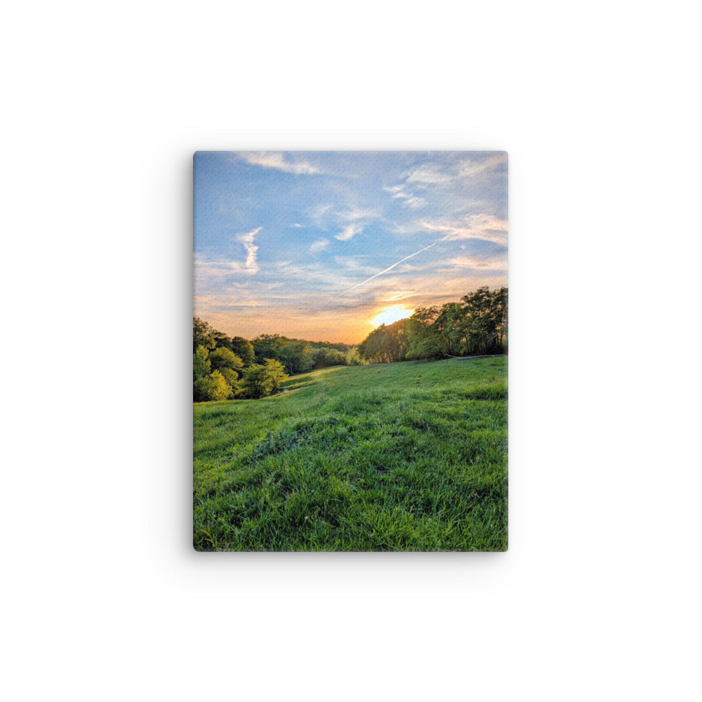 Warm green field sunset with trees and blue sky