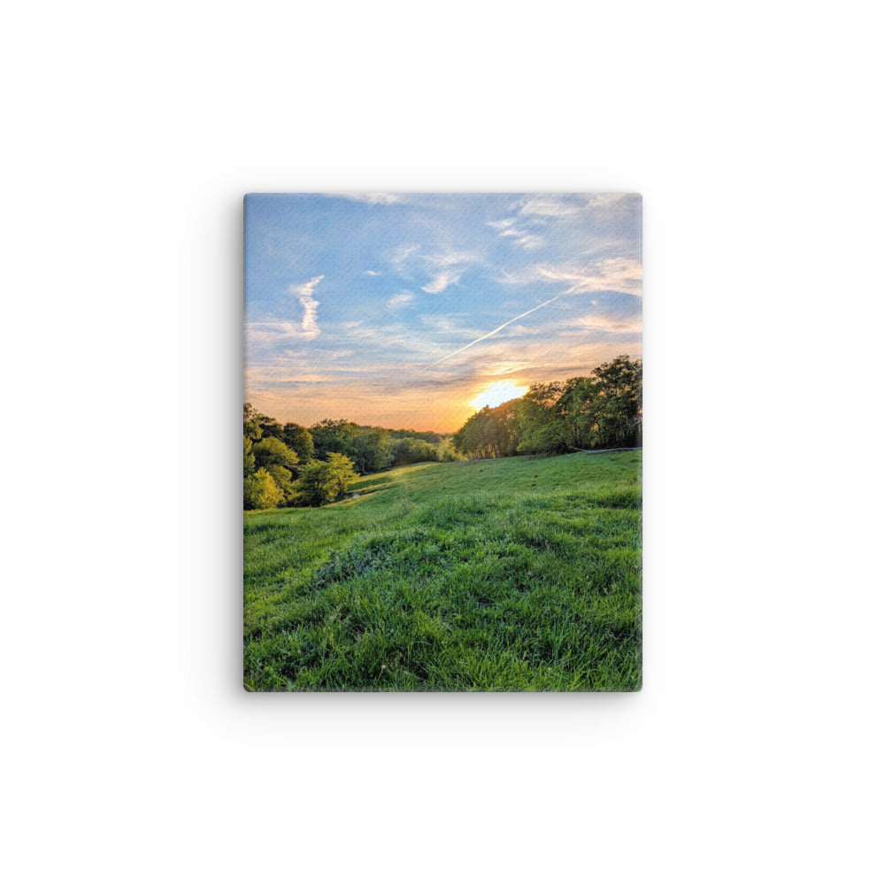 Warm green field sunset with trees and blue sky