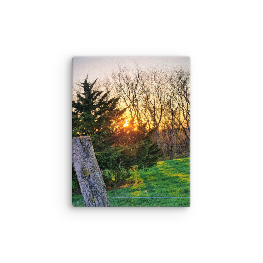 Canvas print of a sunset over a forest with a wooden post in the foreground.