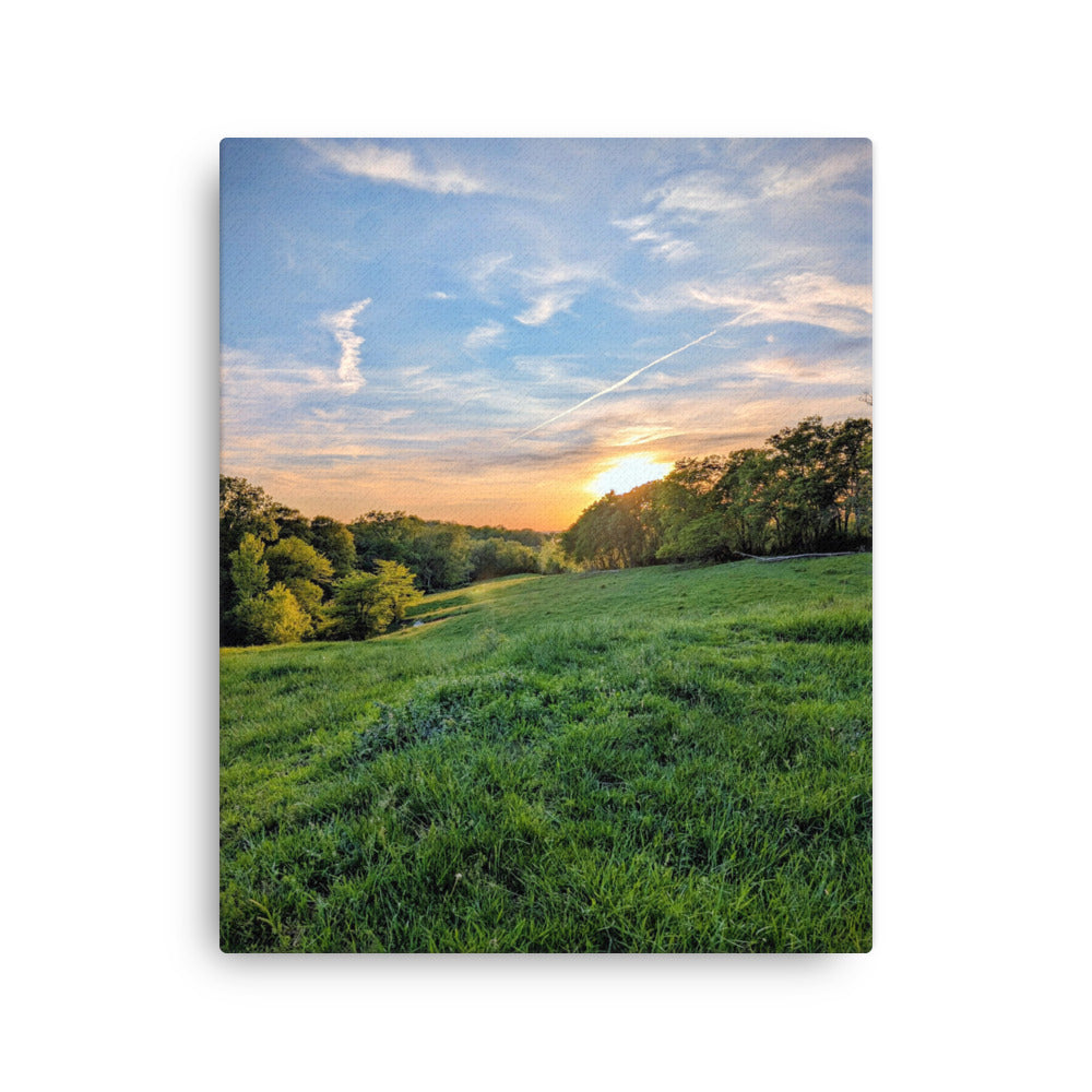 Warm green field sunset with trees and blue sky 