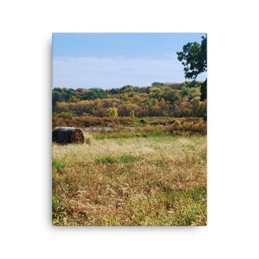 Warm lone haybale against autumn field and forest and blue sky
